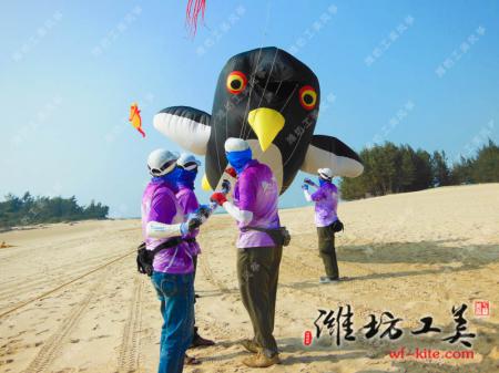 南极的企鹅正被大家放飞在海滩