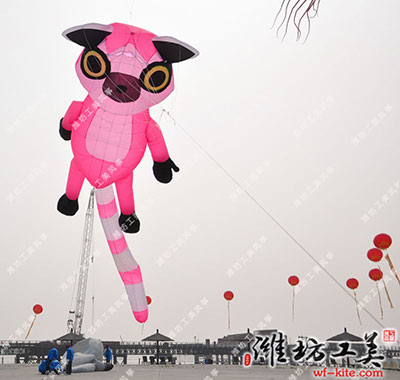 玉环漩门湾湿地公园风筝节—潍坊工美