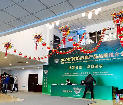 潍坊工美传统龙风筝装饰北京农业展览馆